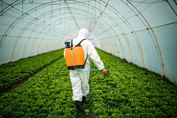 Best Pest Prevention Services  in Windsor, MO