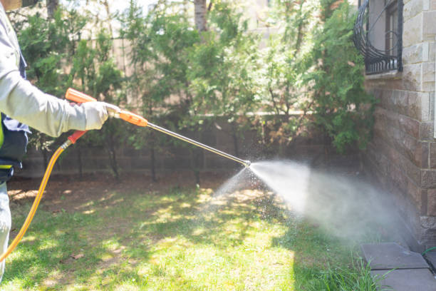 Pest Prevention Services in Windsor, MO