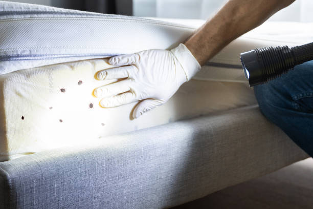 Best Affordable Pest Control Services  in Windsor, MO