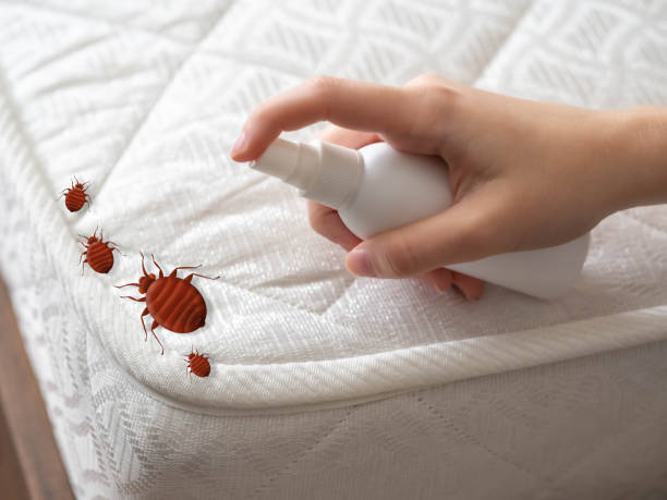Best Affordable Pest Control Services  in Windsor, MO