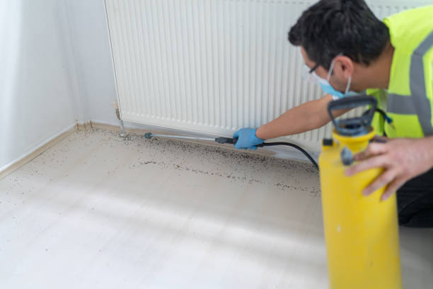 Best Exterminator Services  in Windsor, MO